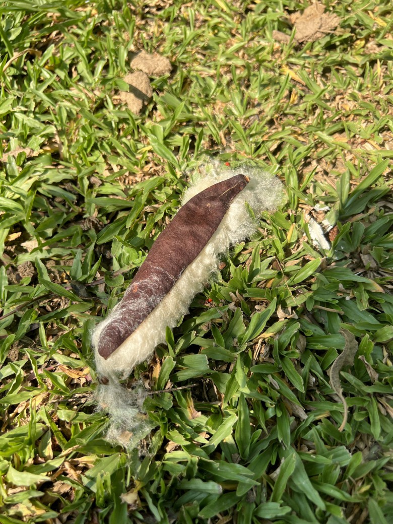 FILE-20260327-1130L1TMHVS6N3DA