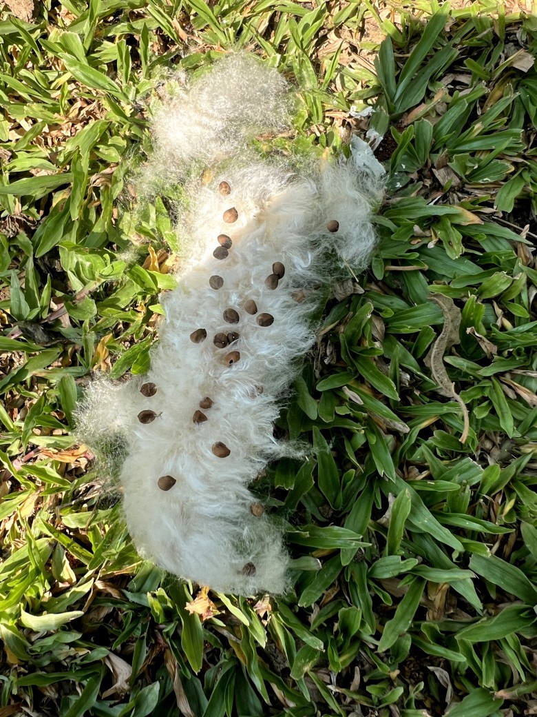 FILE-20260327-1140ZEM8J6T8G4E3