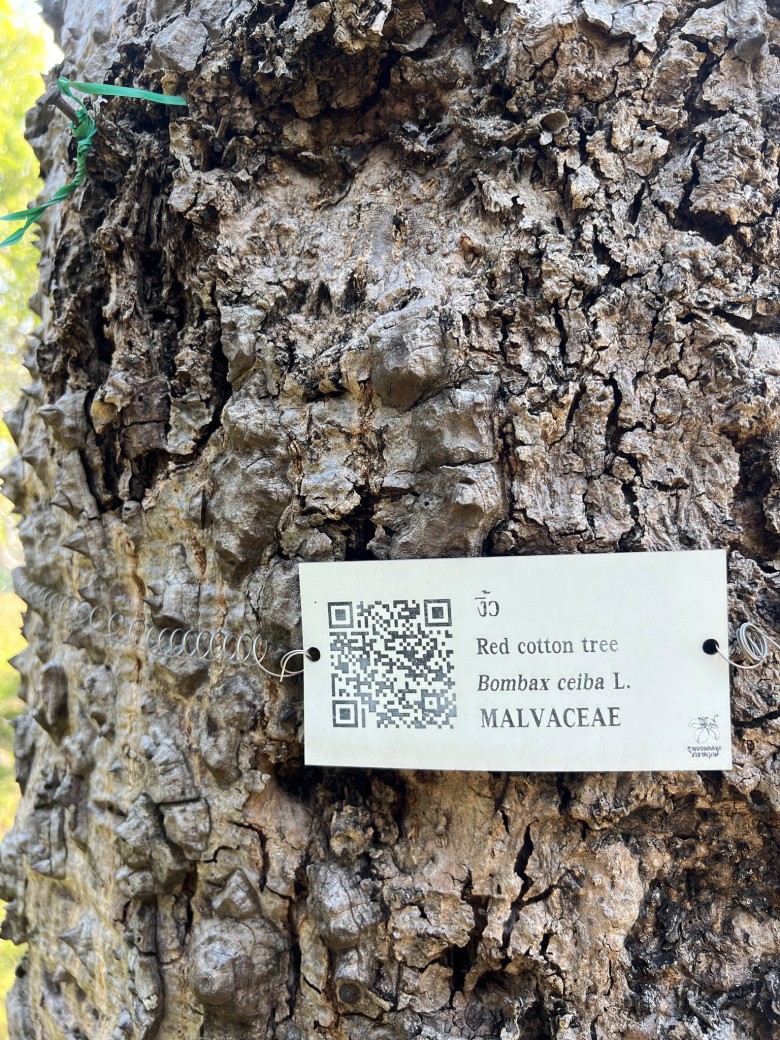 FILE-20260327-1142KH76TCB963VG