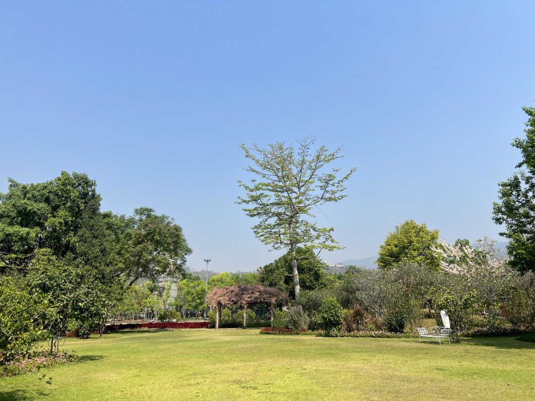 FILE-20260327-1146YRNEL9CQAWLF