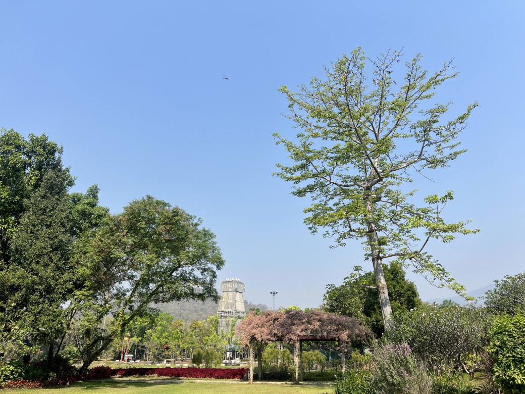 FILE-20260327-1150Y8KSZ83SFUHE