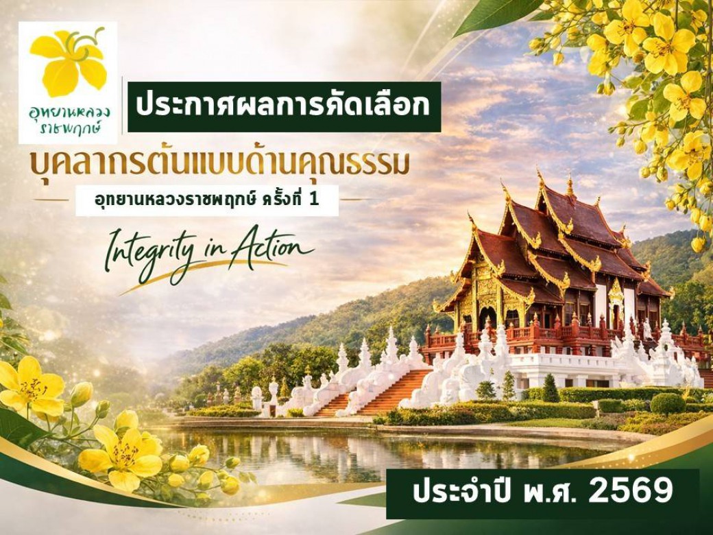 FILE-20260401-1310Z1CL244QWRNT