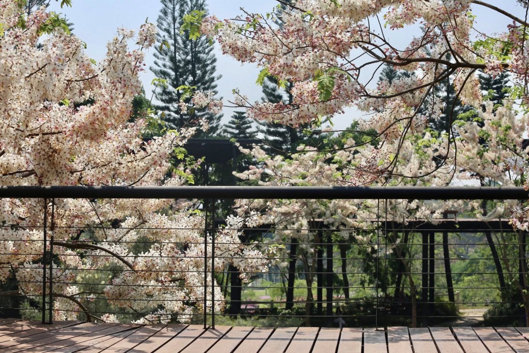 FILE-20260401-1311B4JC2Z5AF1XY