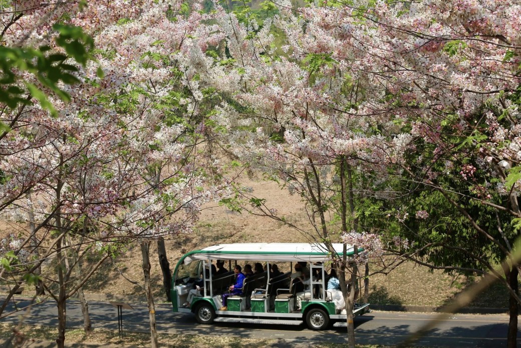 FILE-20260401-13199TRZRL7M1WCN