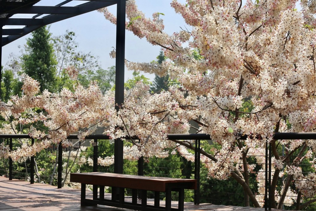 FILE-20260401-13268U83XH34V7GS