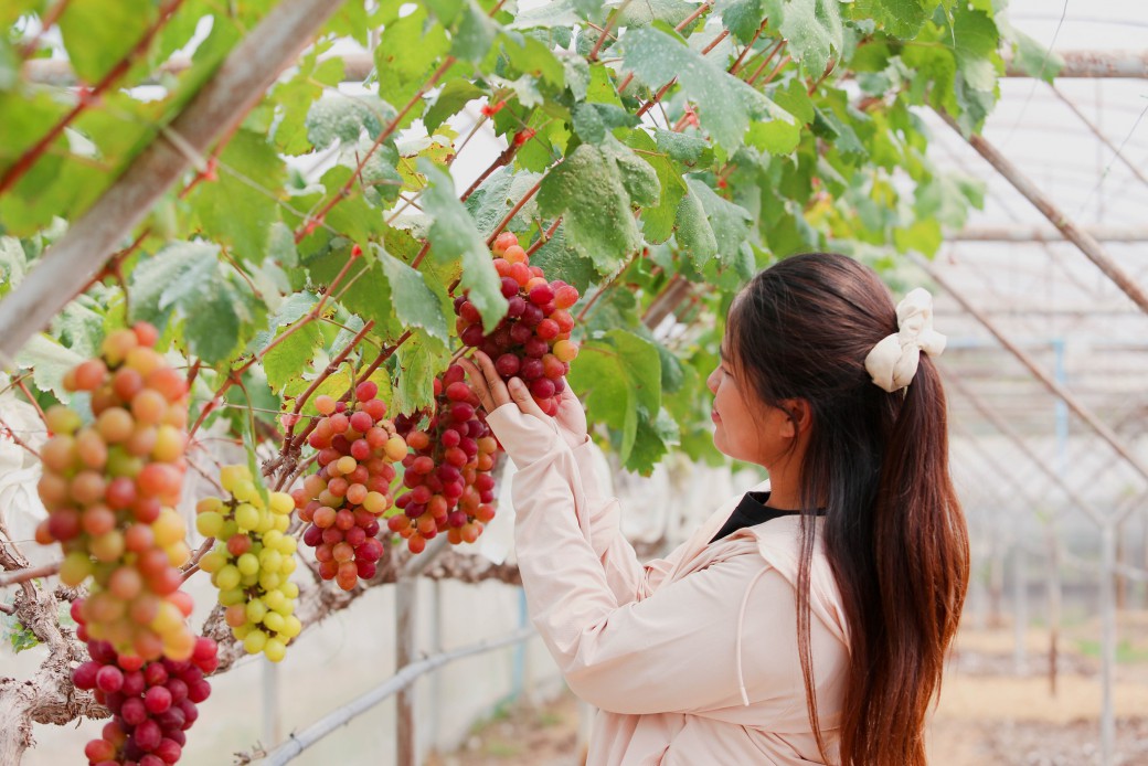 FILE-20260401-13285LNNBZZEG2PV