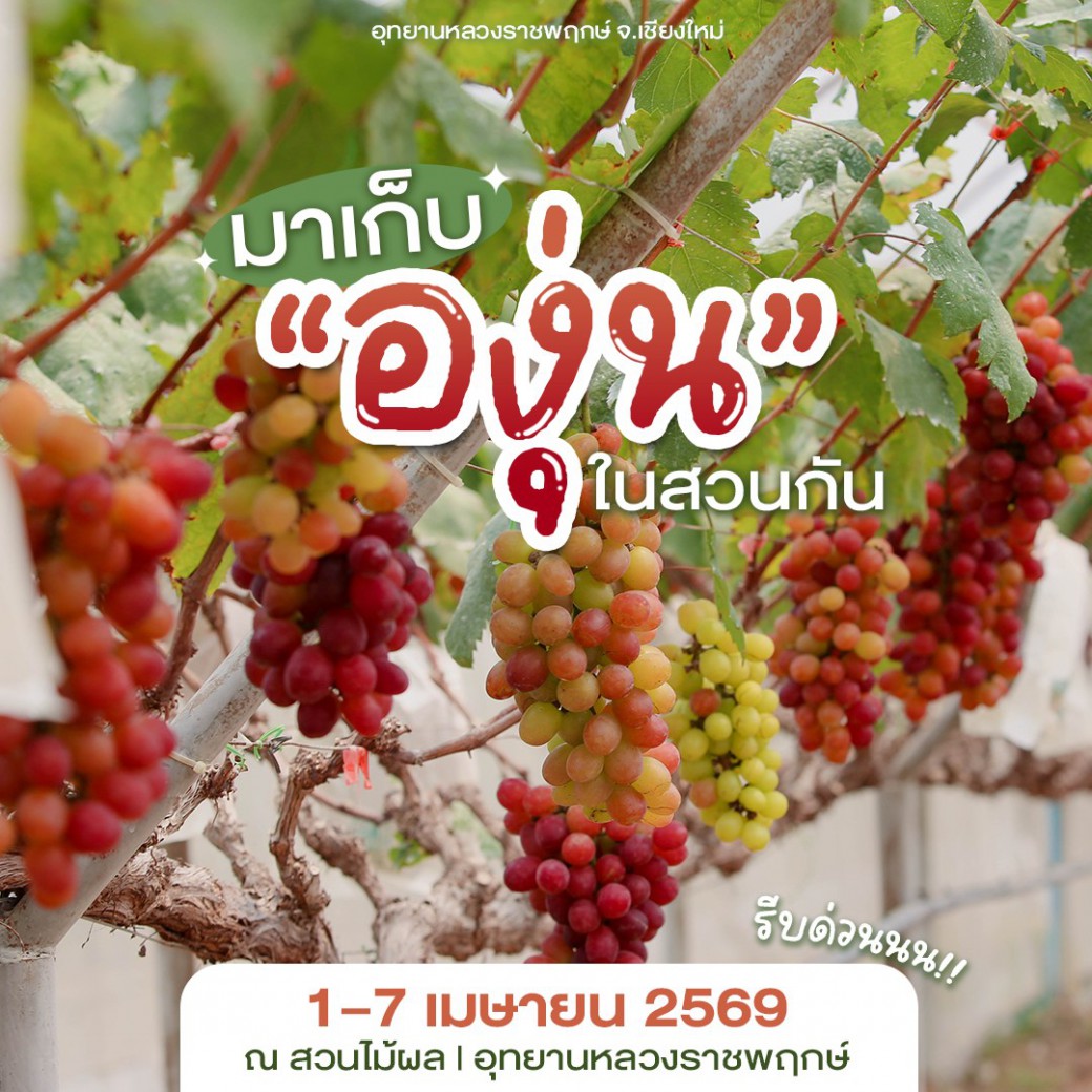 FILE-20260401-1330ZWD9F82WPABF