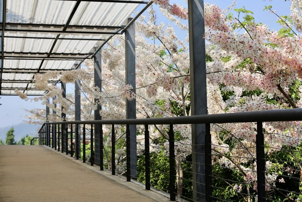 FILE-20260401-1338767B717P4NYU