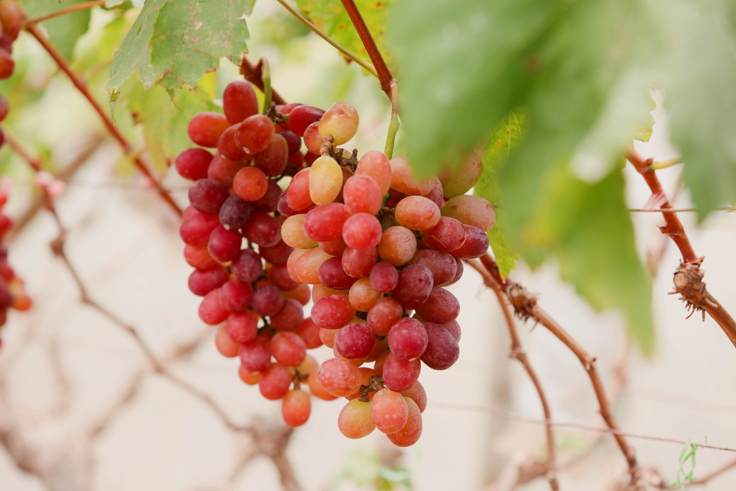 FILE-20260401-1340EN74CRFM9EJS