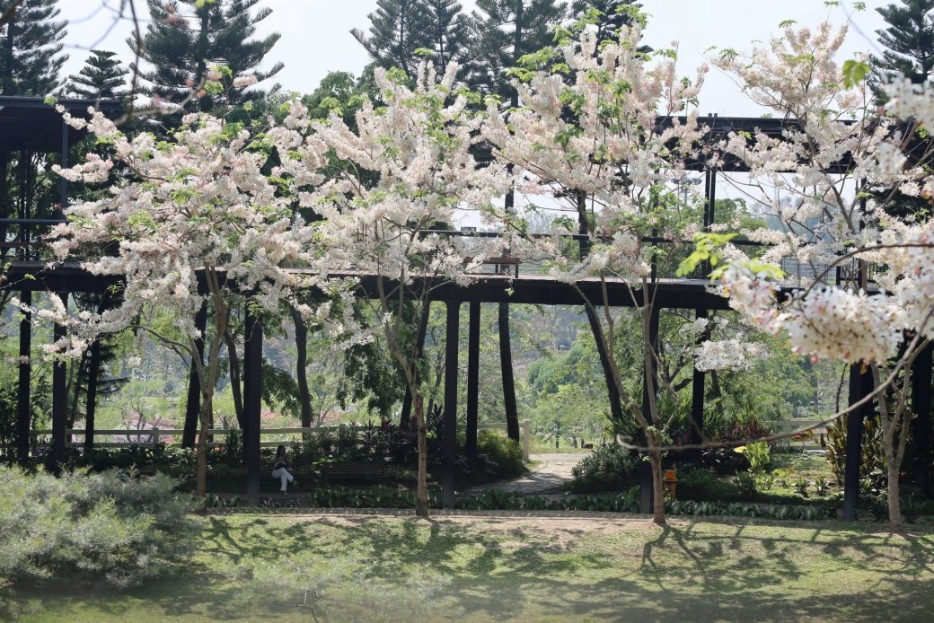 FILE-20260401-13477U1FZBUACXRH