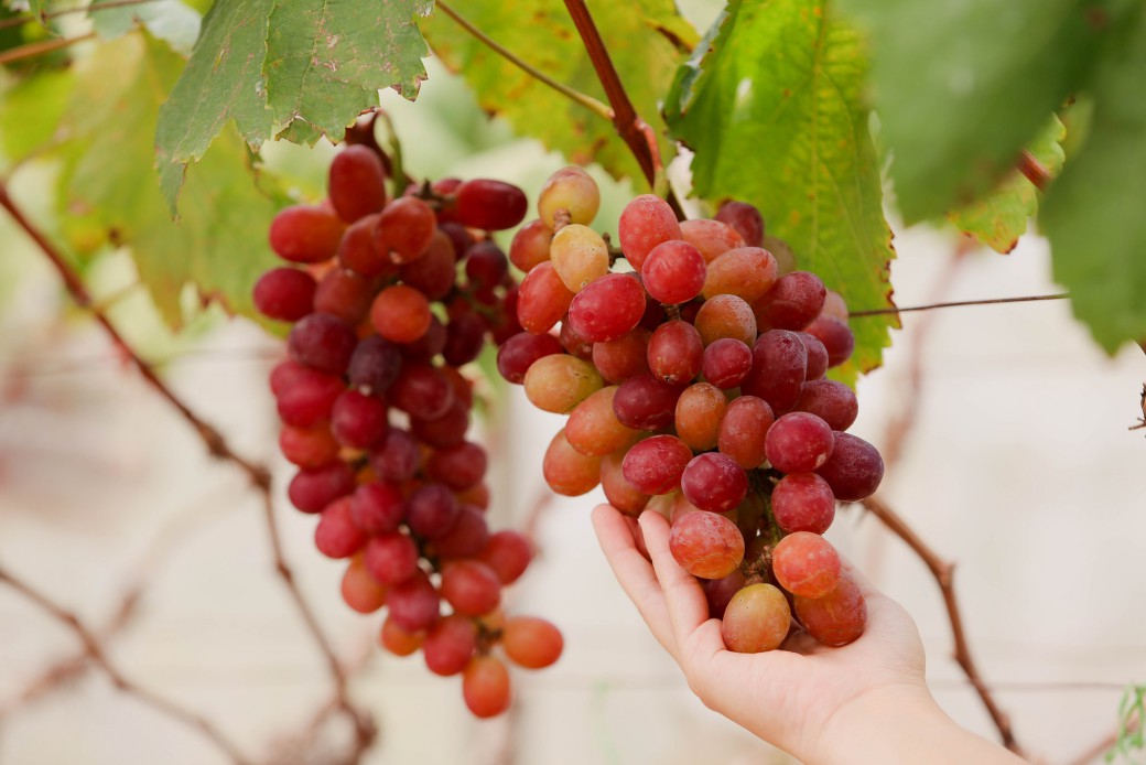 FILE-20260401-1348L4Q6LXYZ29ZJ