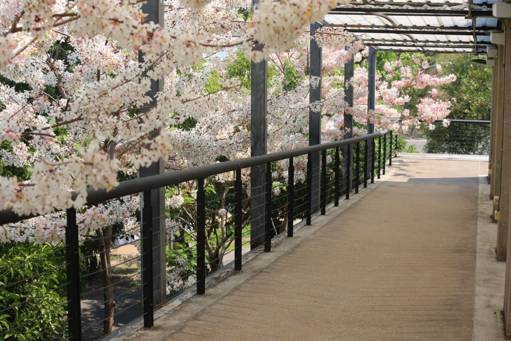 FILE-20260401-1348YSPTKNPX8LJV