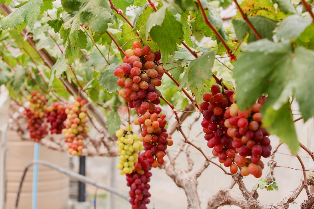 FILE-20260401-1354AXBEMCFE4GZX