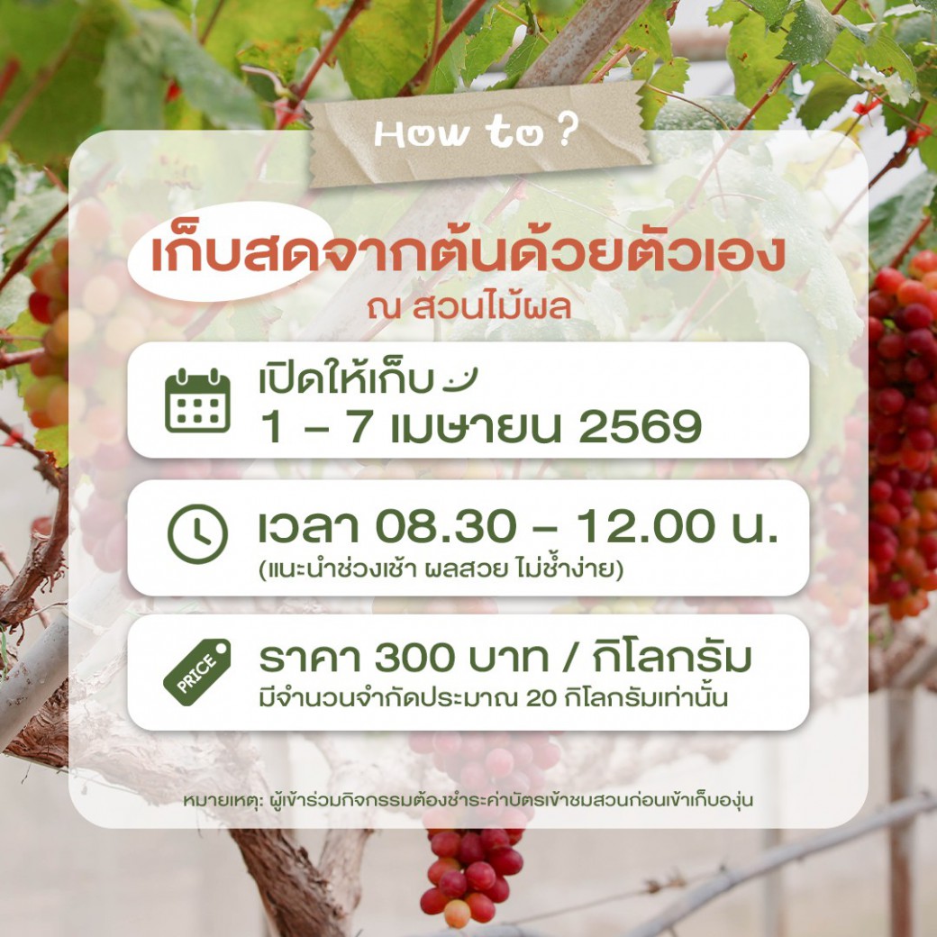 FILE-20260401-1354L8BUU9T9NZAU