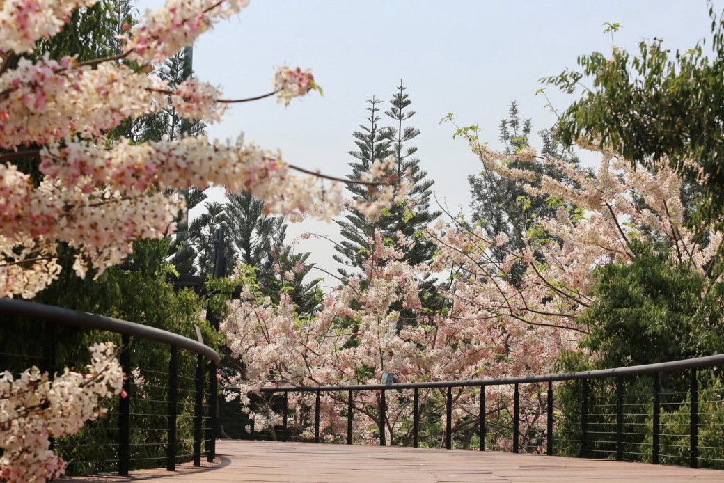 FILE-20260401-1357QY3RCYRBFKN3