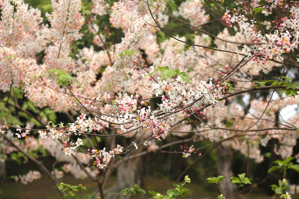 FILE-20260404-1401LBBBAVMK1K5T