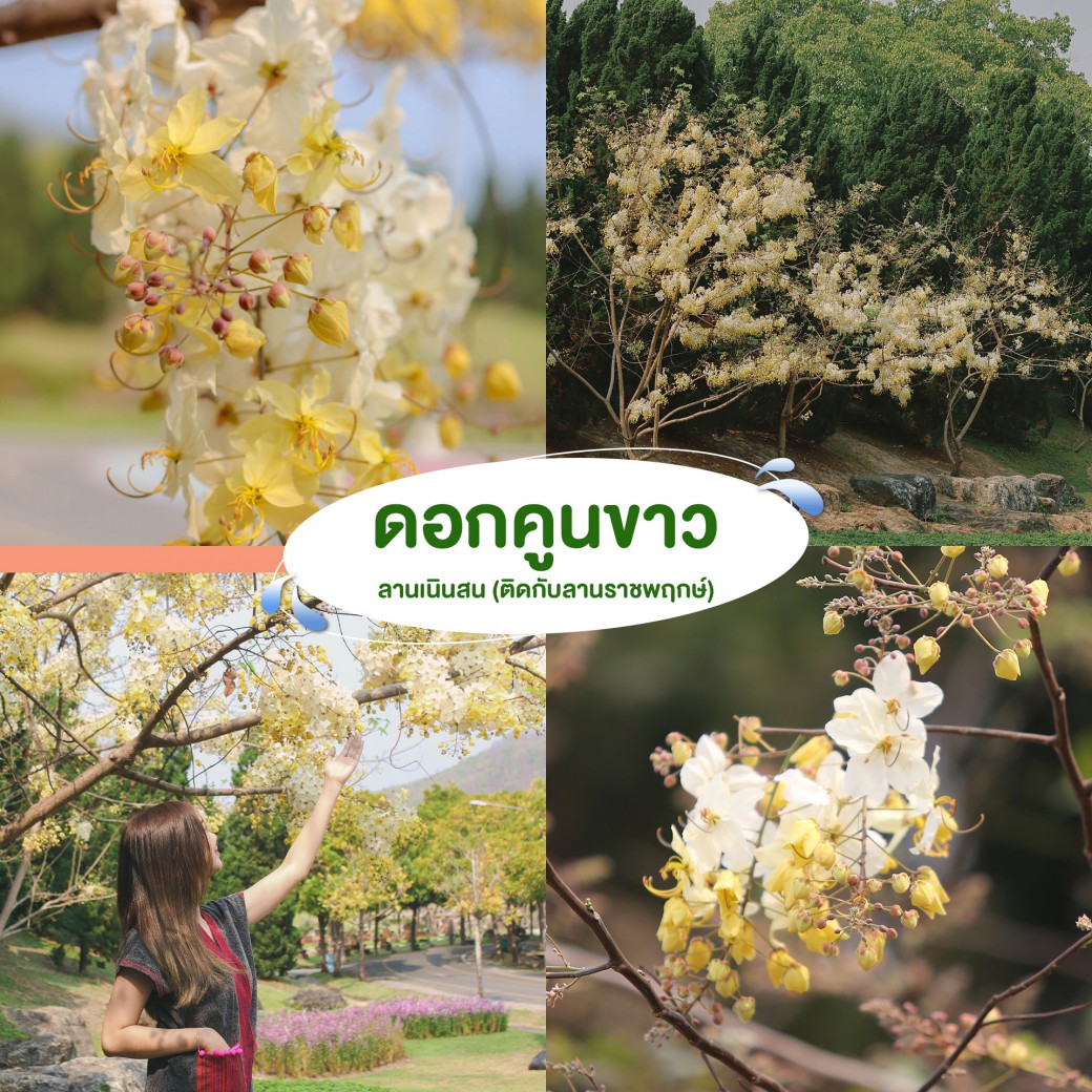 FILE-20260404-14591D5X287LBV6N