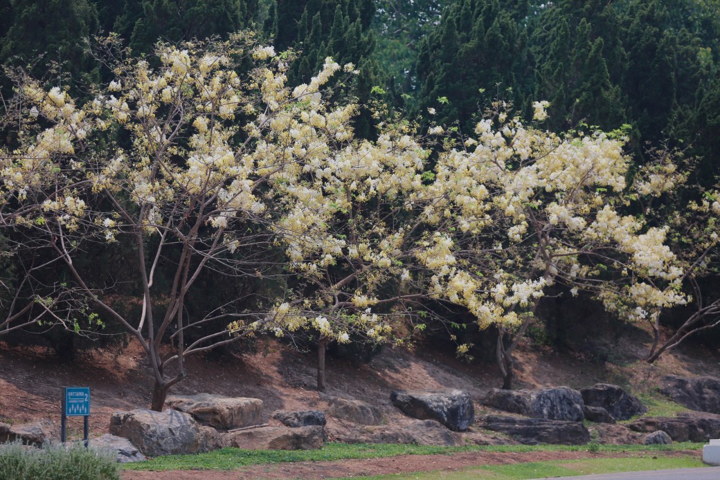 FILE-20260410-1103T663M9WYJ1AV