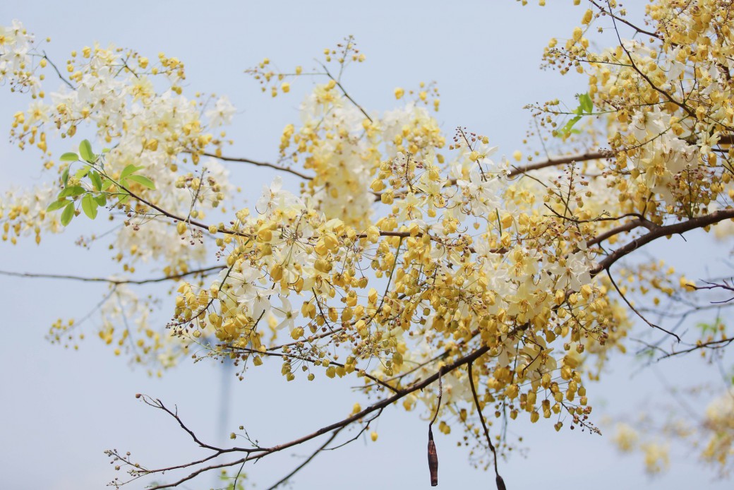 FILE-20260410-1112VZ4WW4RBM6KH