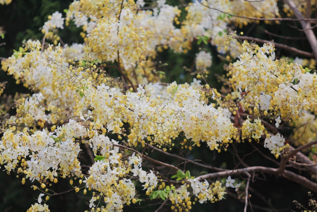 FILE-20260410-1119YLCBWW5QM8LB