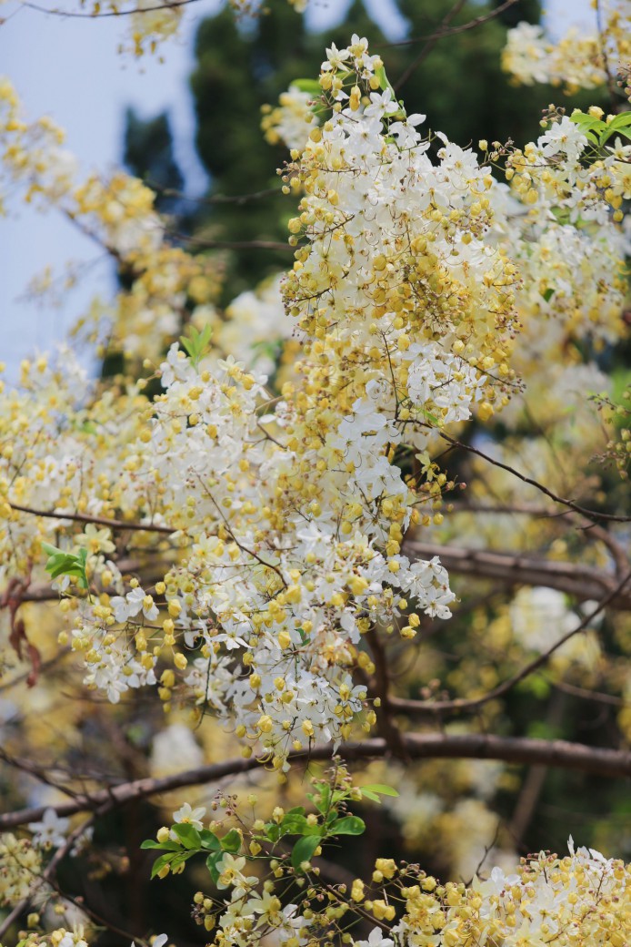 FILE-20260410-1120VFDQHBKE4RYN