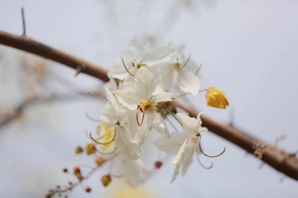 FILE-20260410-1123R4GEJAC1BZK8