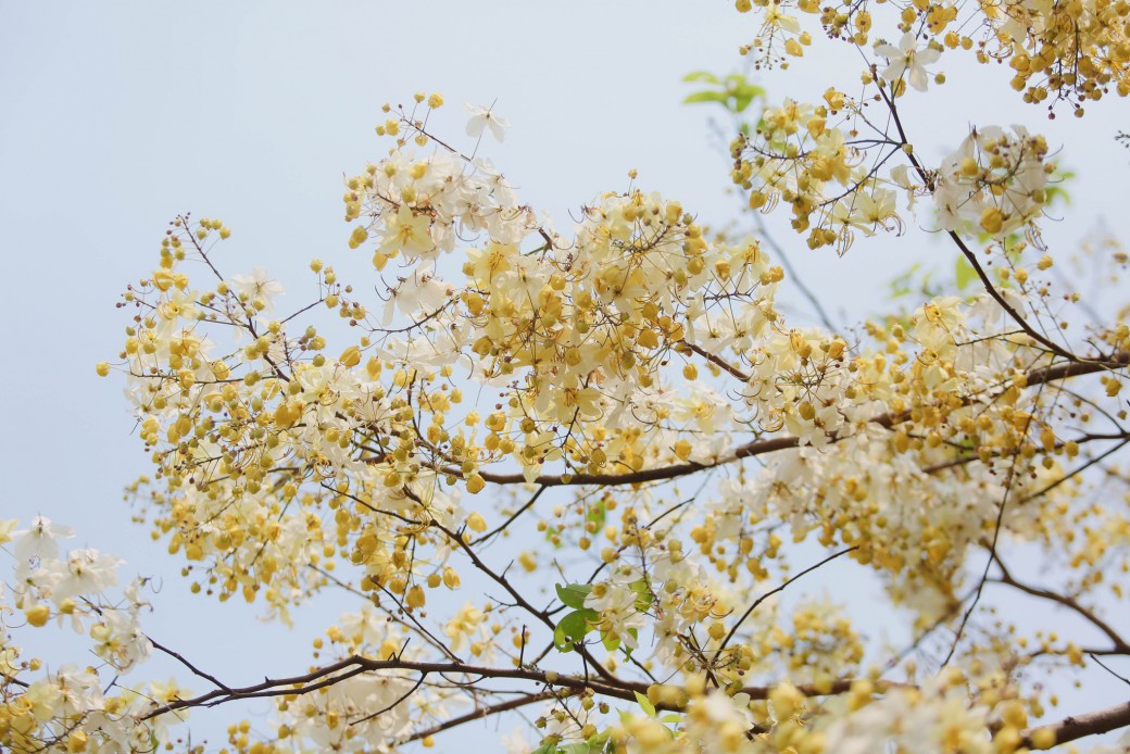 FILE-20260410-11347LBJKFJL649B