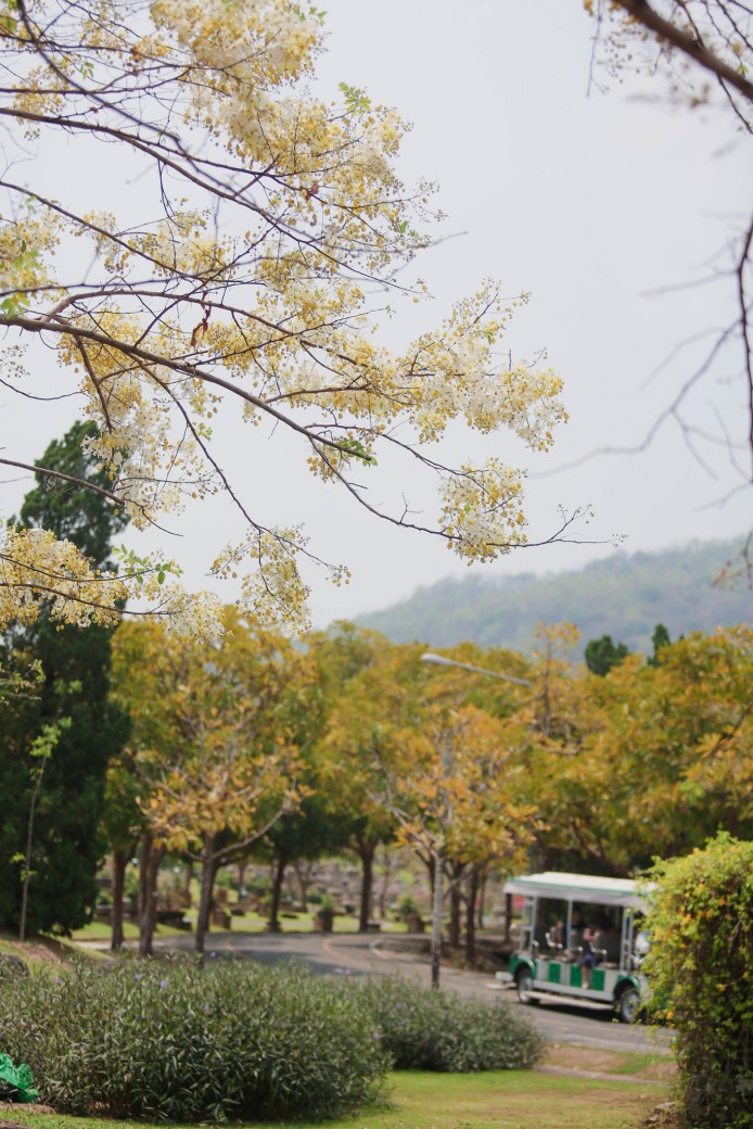 FILE-20260410-1137K6K1FL71RN44