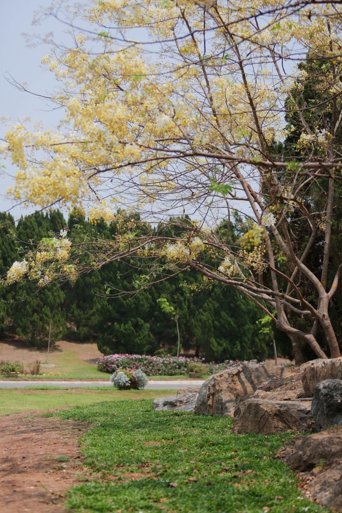 FILE-20260410-11514E7S54H63KYH