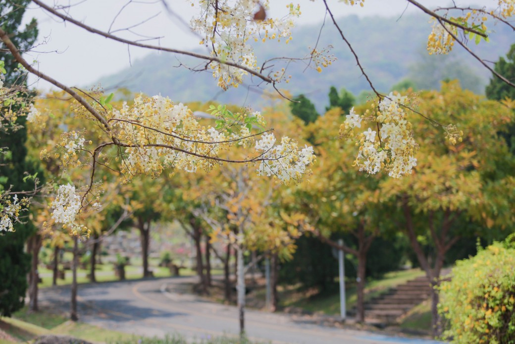 FILE-20260410-1151PKVRE1UNDE3F