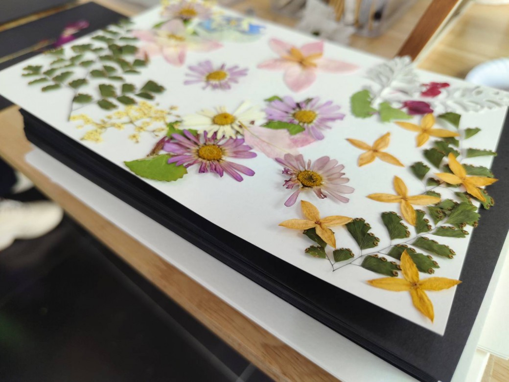 FILE-20260410-14482S1SUH1ZAFRW