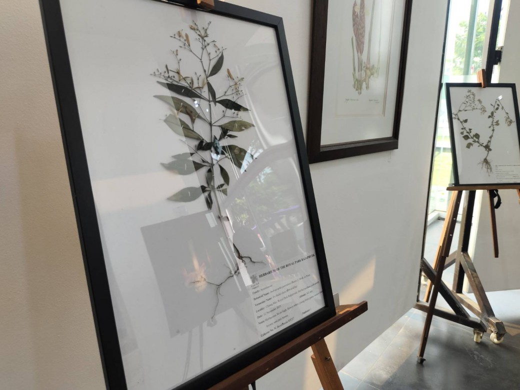 FILE-20260410-1517TZVFPCQ5W4EF