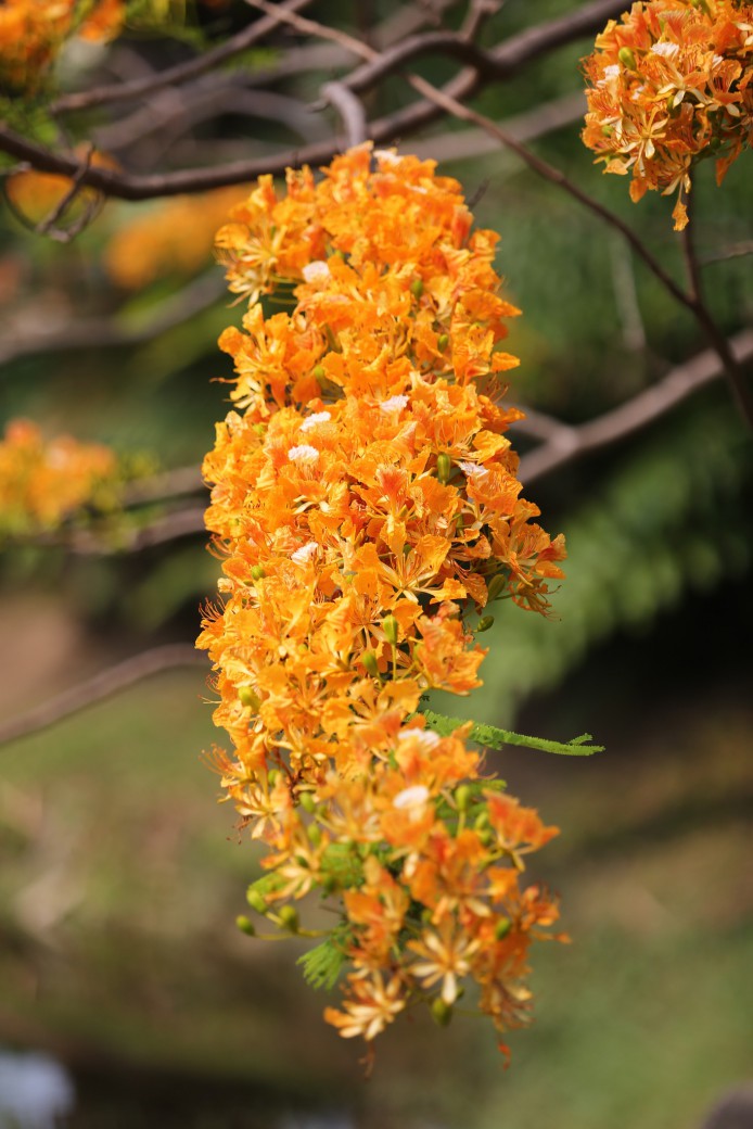 FILE-20260505-08266MN3DCBQ8MS5