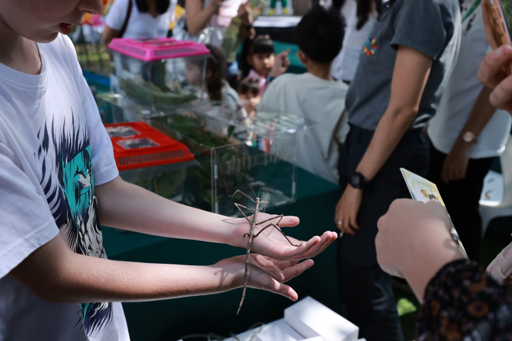 FILE-20260524-14062K59X9ZSNSDP