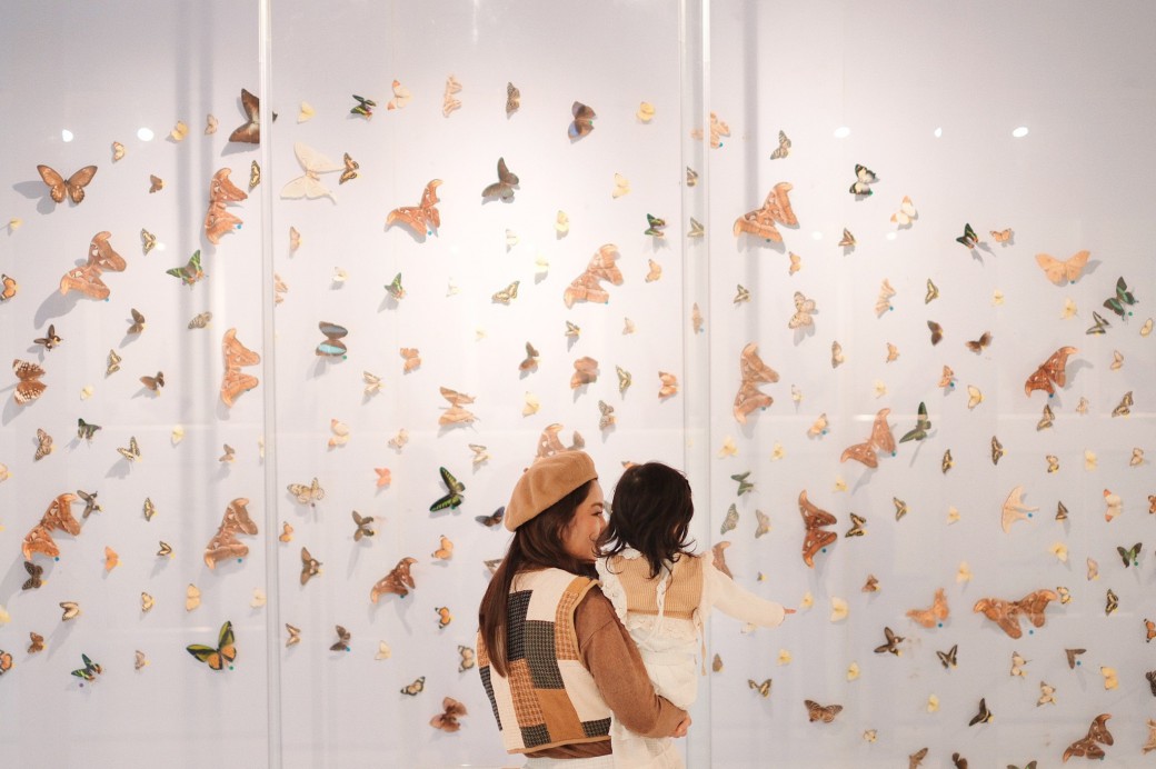 FILE-20260524-14281EE99B4V3TC7