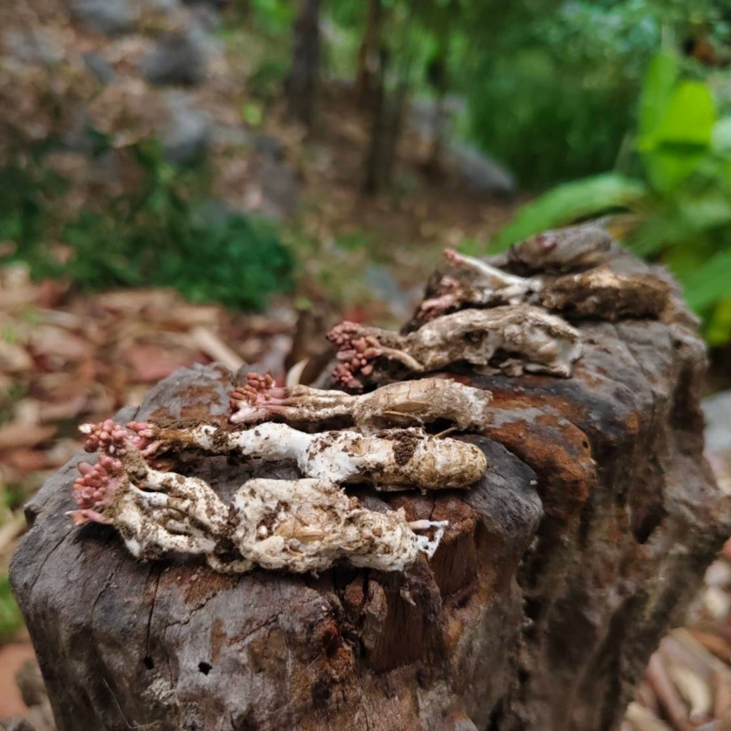FILE-20260531-1533AV9LLYL8ALL3