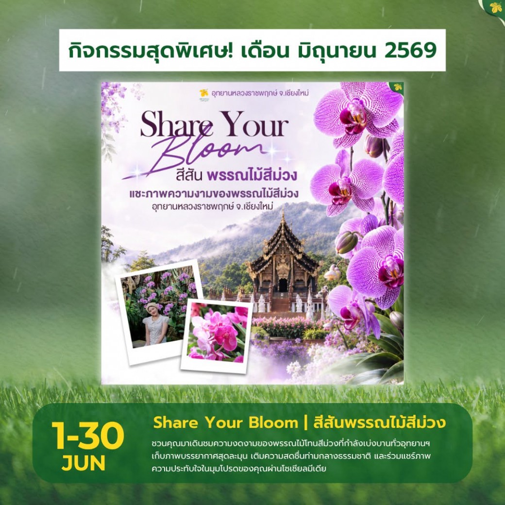FILE-20260610-1454VE78RK6T2ASK