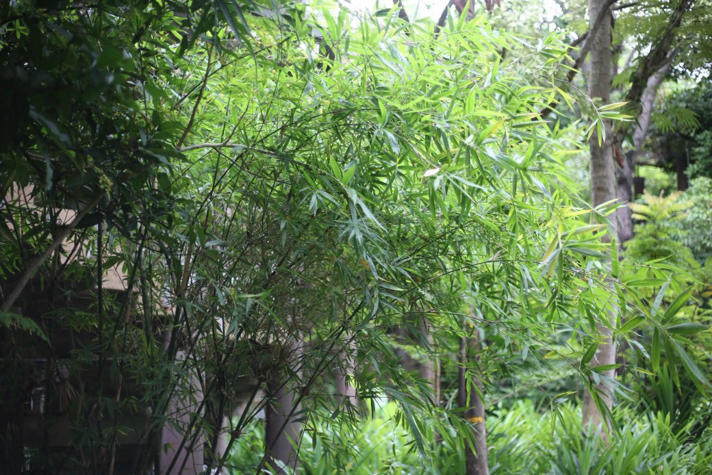 FILE-20260817-1126HKEK2Y18B7WX