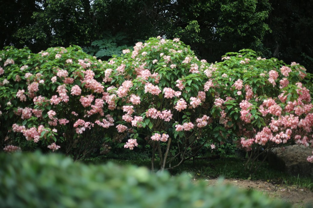 FILE-20260817-1127P5MFP4LM8X16