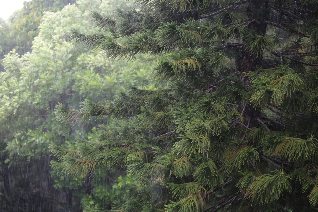 FILE-20260817-1143885TUVZM73FH