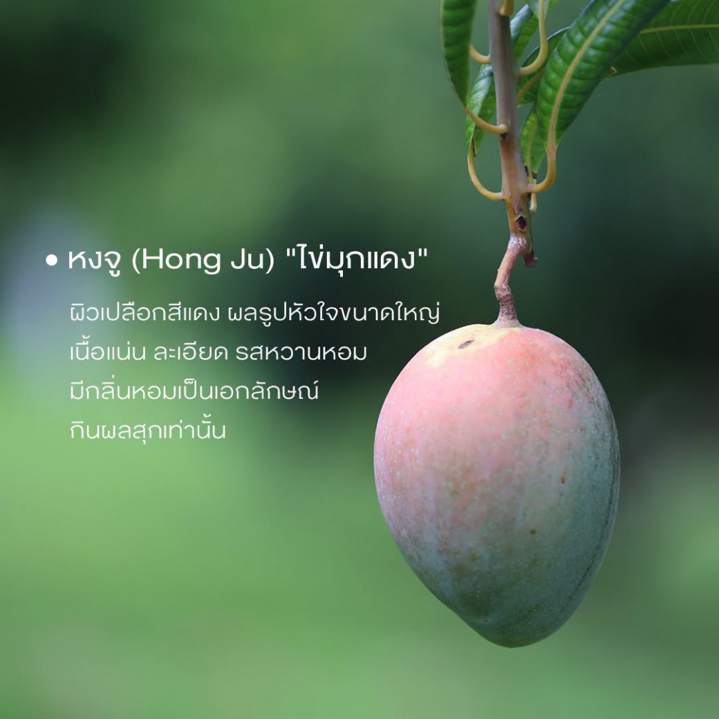 FILE-20260818-1449Q2CDB6ZGUG2C