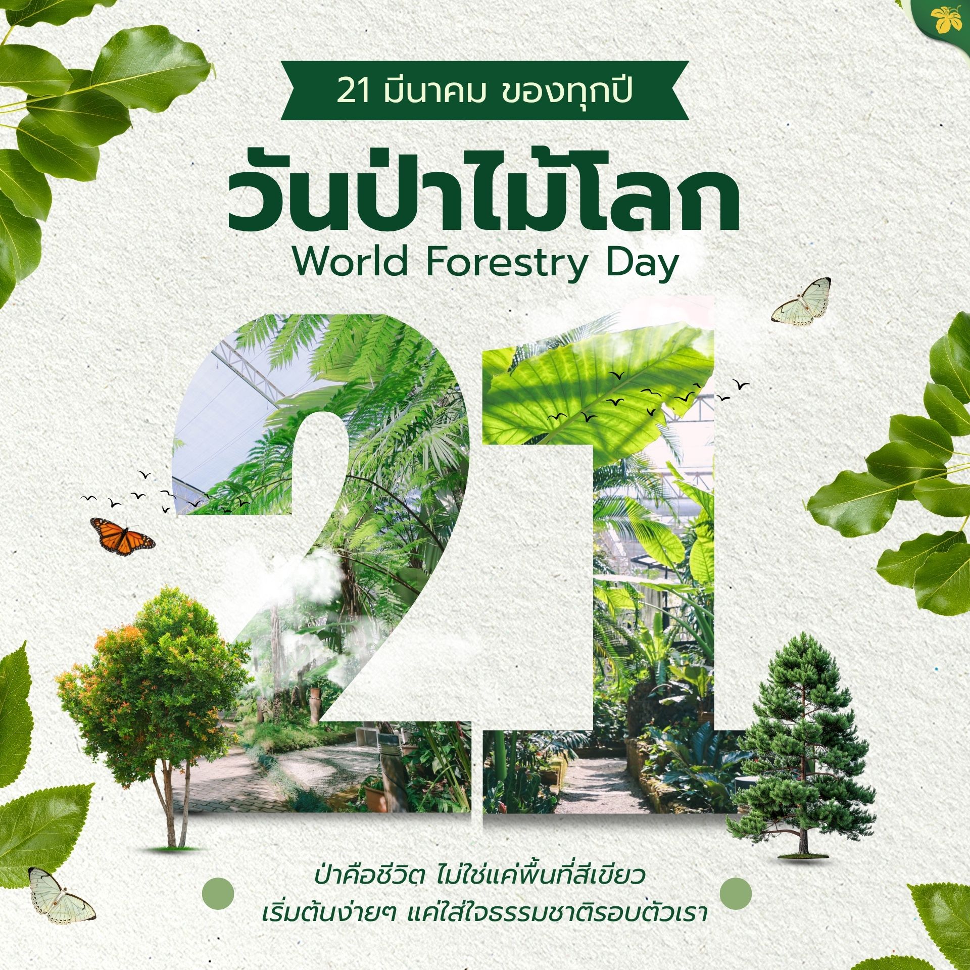 655647174_1414699230691583_1288766333073356435_n