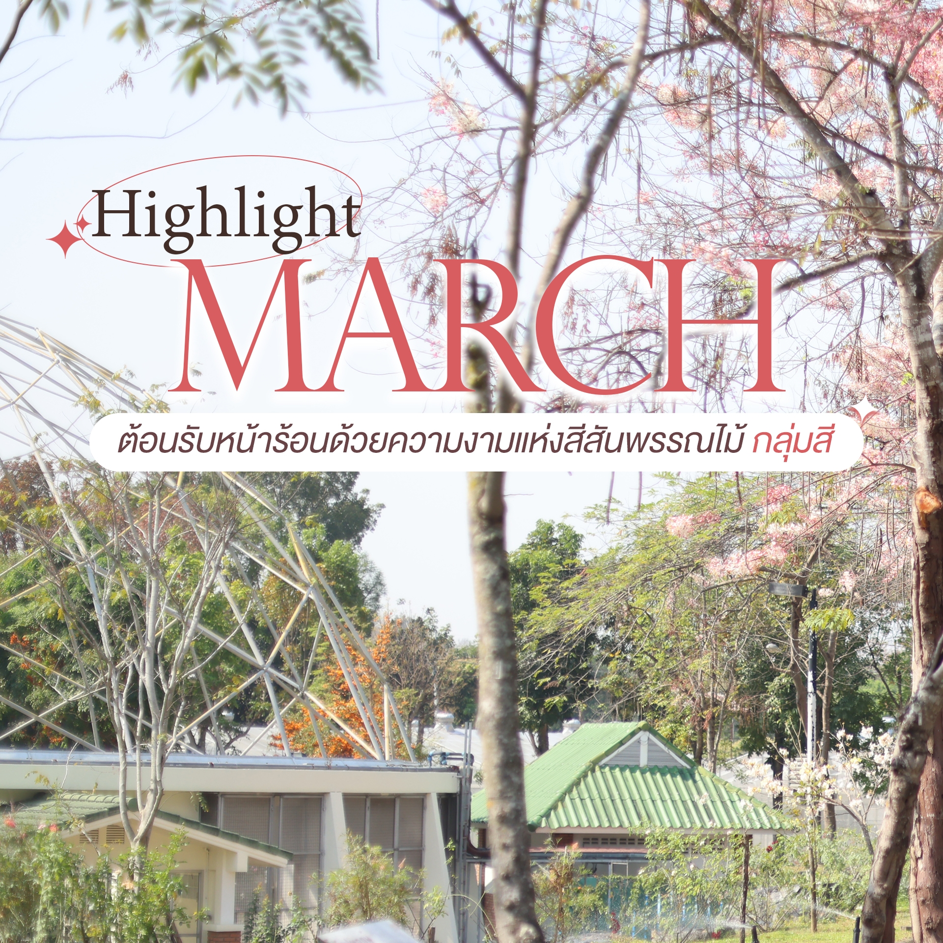 ❀ไฮไลต์มีนาคมดอกไม้หลากสีบานสะพรั่งที่อุทยานหลวงราชพฤกษ์จ.เชียงใหม่❀