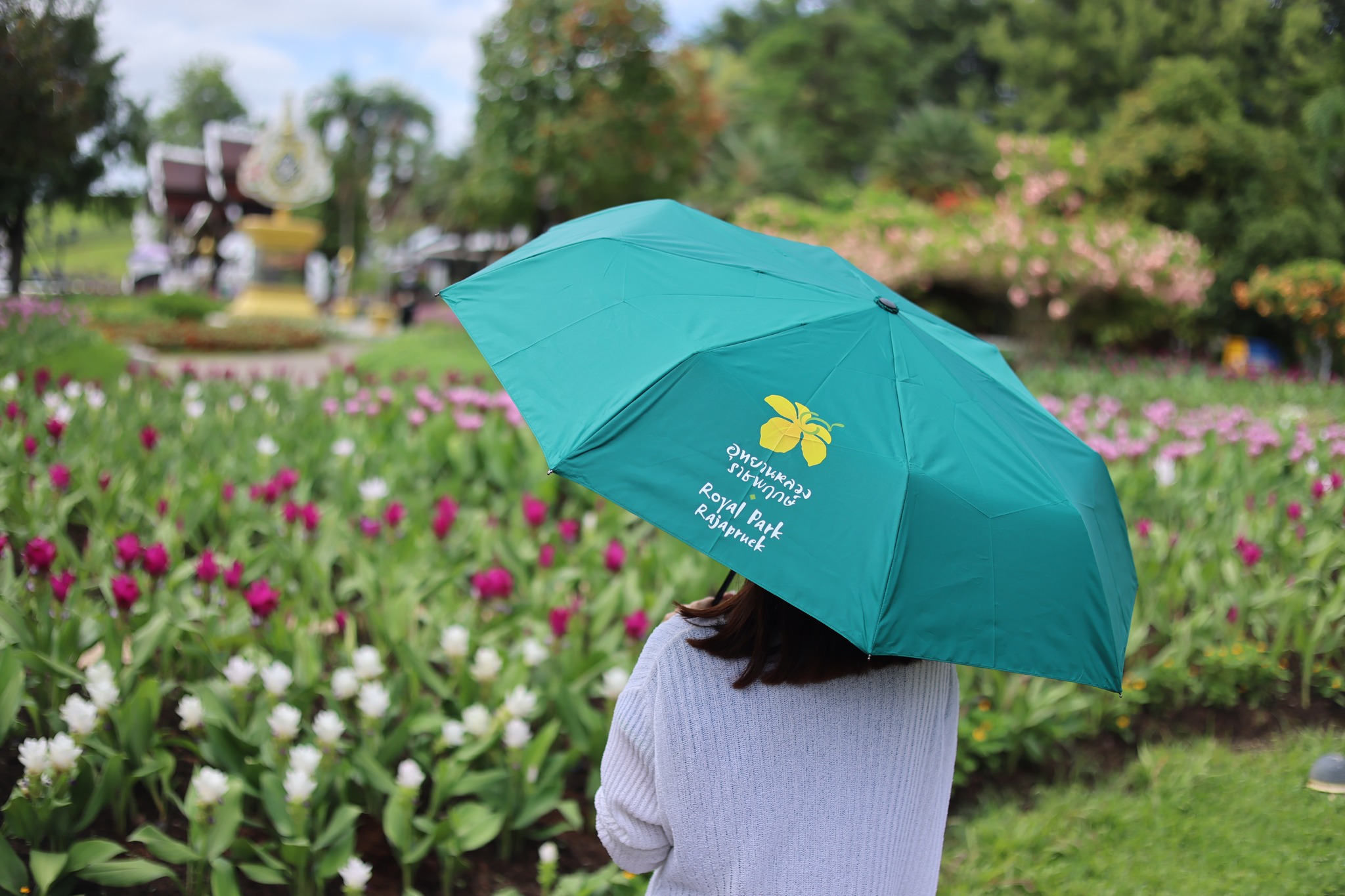 ชวนช้อปสินค้าใหม่จากอุทยานหลวงราชพฤกษ์✦พกไว้เที่ยวไหนก็สะดวก✦