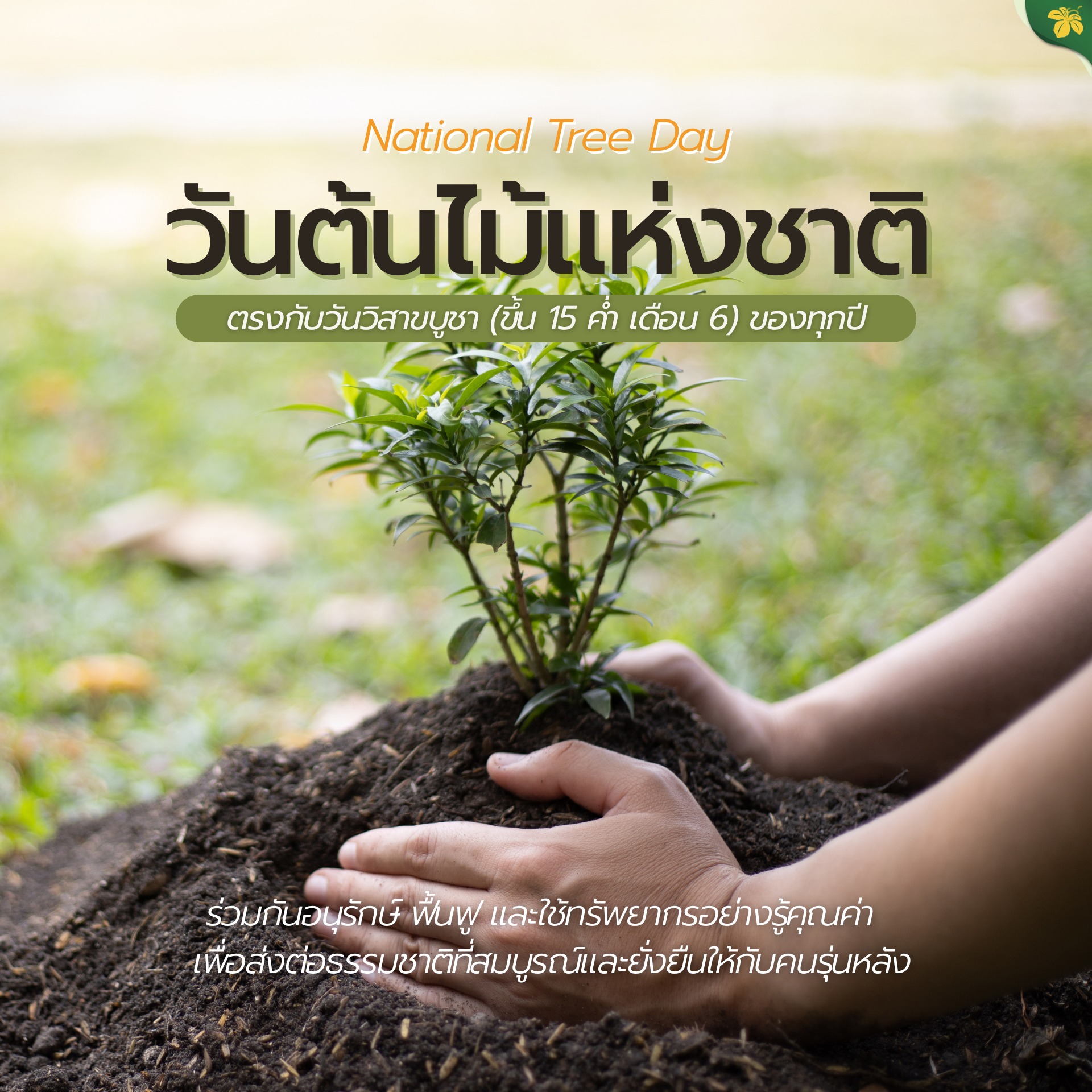 วันต้นไม้แห่งชาติ(NationalTreeDay)ตรงกับวันวิสาขบูชาของทุกปี