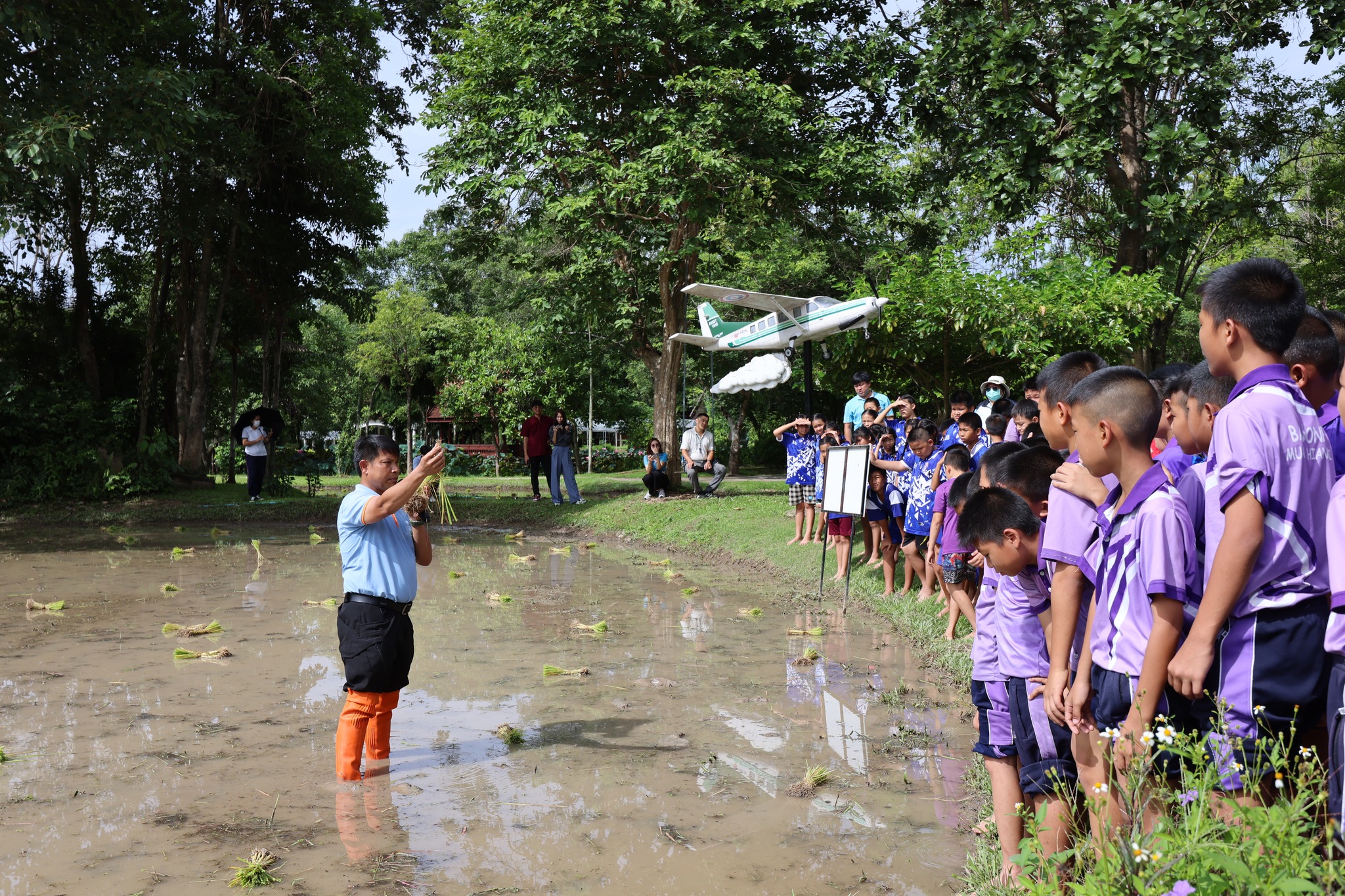เช้านี้บรรยากาศในสวนเกษตรทฤษฎีใหม่อุทยานหลวงราชพฤกษ์อบอวลไปด้วยกลิ่นหอมของต้นข้าวและรอยย