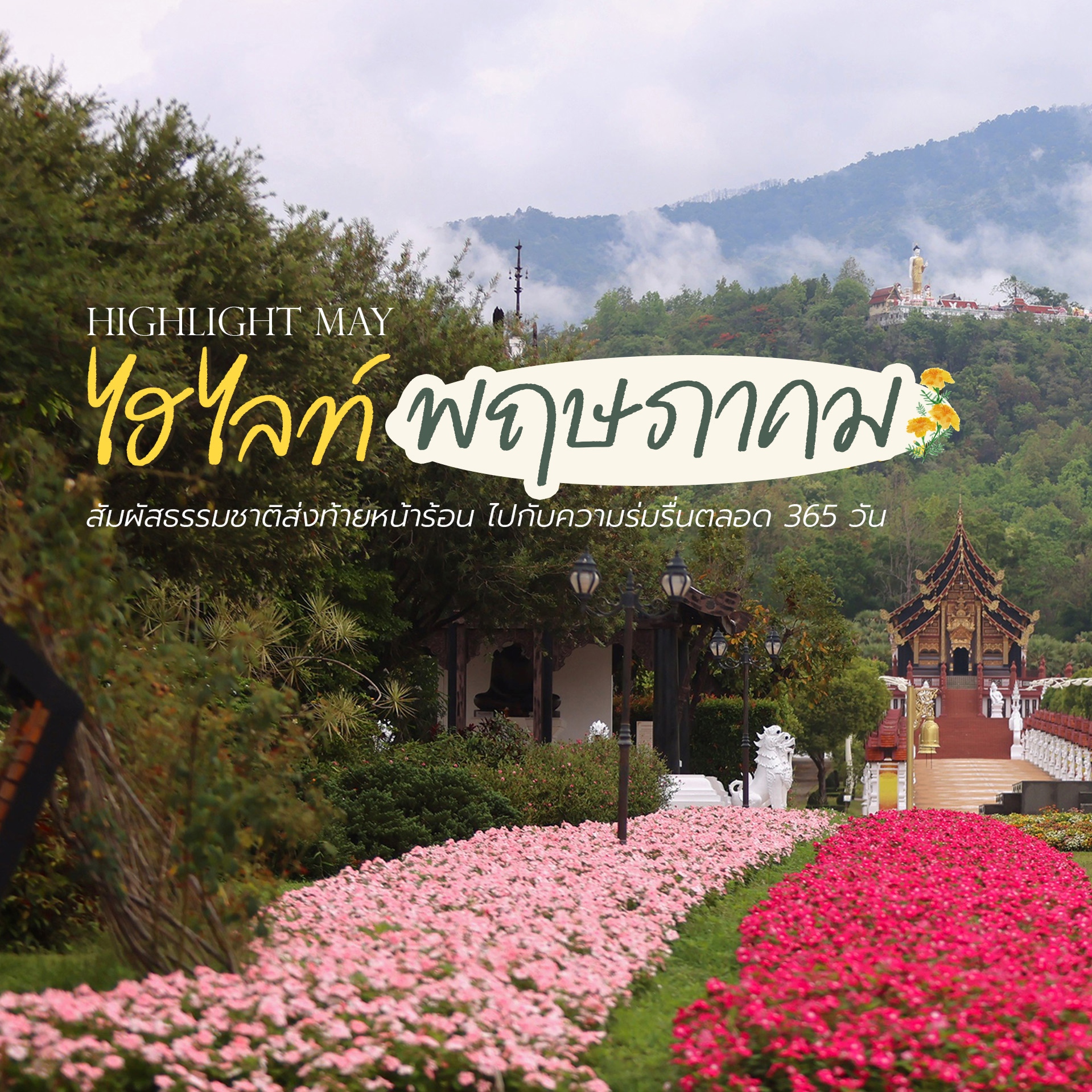 ไฮไลท์“พฤษภาคม2568”ชวนคุณมาเติมความสดชื่นกลางธรรมชาติอุทยานหลวงราชพฤกษ์จ.เชียงใหม่