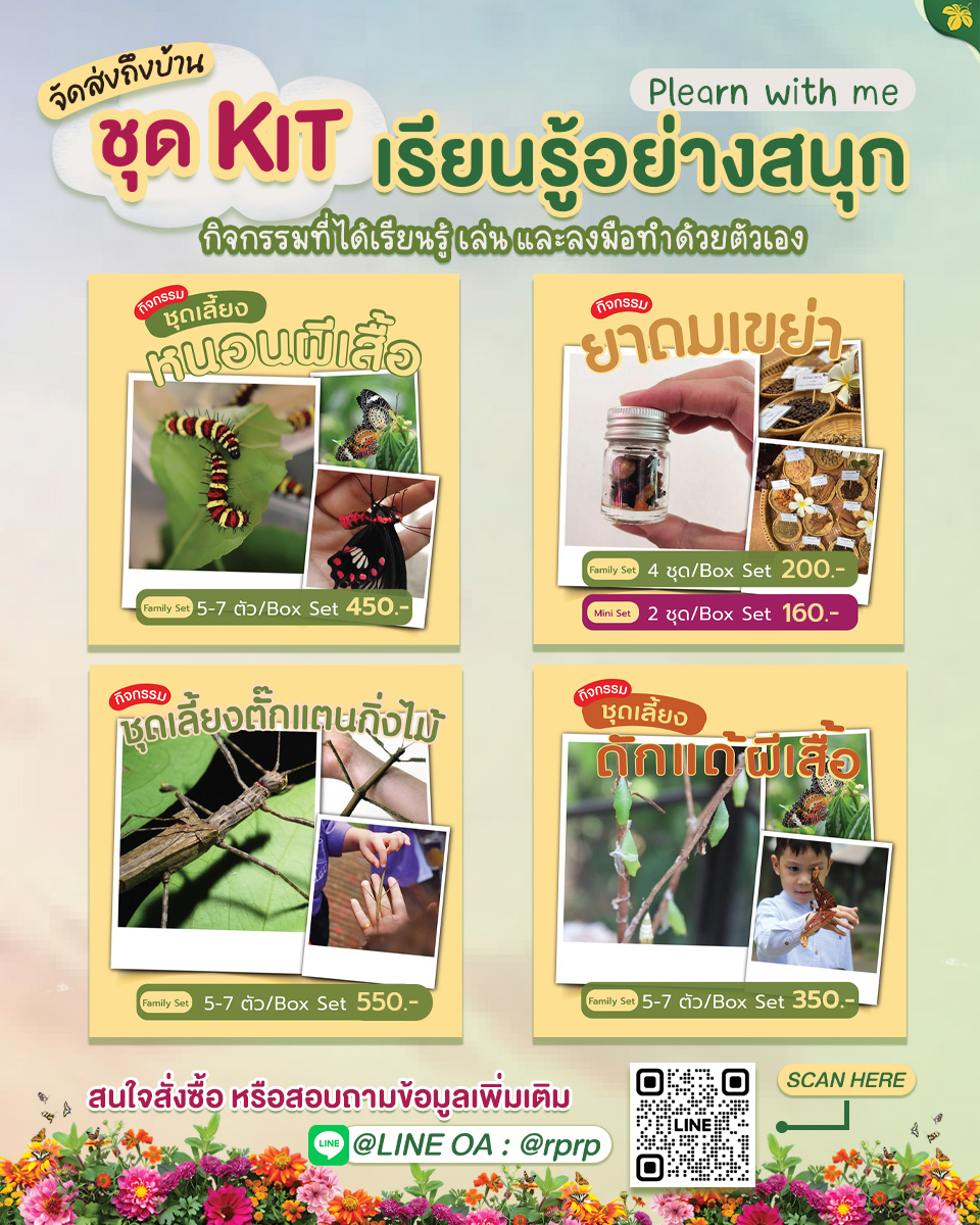 ชุดKITเรียนรู้อย่างสนุก(Plearnwithme)เรื่องสนุกสำหรับทุกครอบครัว.