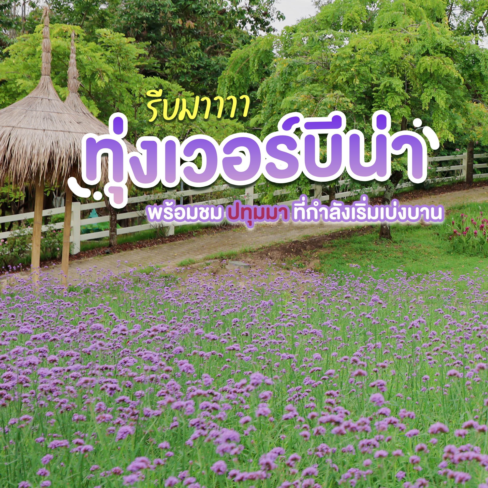 ☘︎☺︎รีบมาเช็กอินก่อนดอกไม้จะเปลี่ยน☺︎☘︎