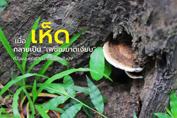 526087999_1211519121009596_711357991266123325_n